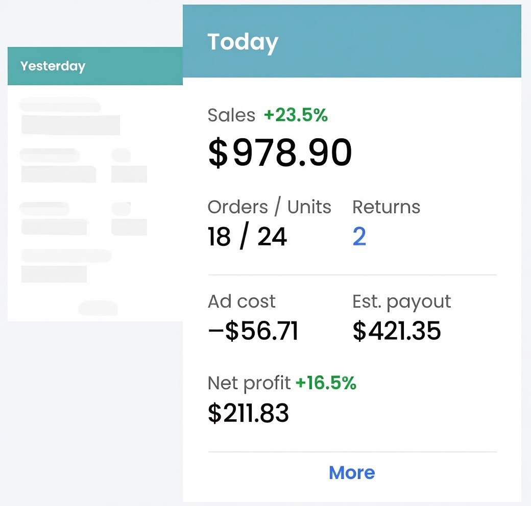 Accurate Profit Dashboard